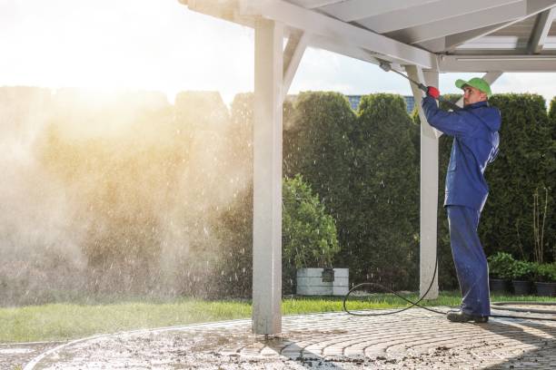 Best Driveway Pressure Washing  in Avoca, IA